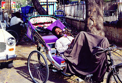 Sleeping Cyclo-Rickshaw Driver, Jaipur, India 200