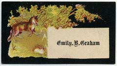Emily B. Graham