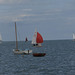 There were loads of sailing boats practicing for the regatta at the end of the month