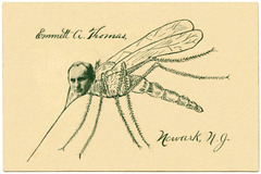 Emmett A. Thomas, Mosquito, Newark, N.J.