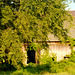 Two Views of a Barn, with Tree