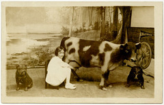 Milking the Euclid Beach Cow