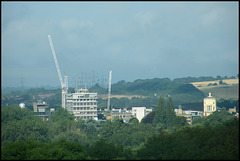 Oxford's dreaming cranes