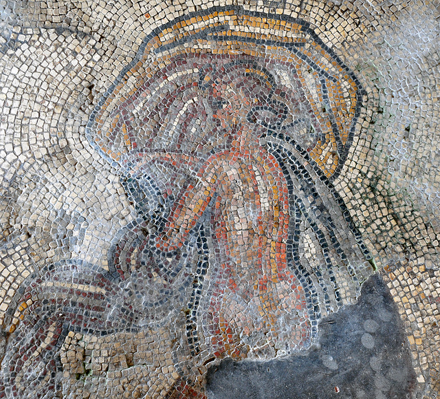 mosaic bignor DSC 8539a