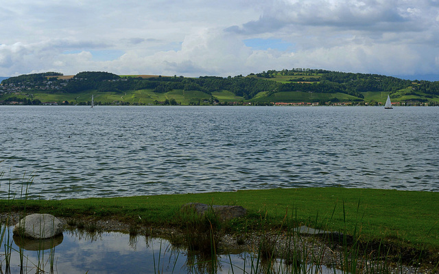 Le lac de Morat
