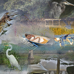 Blind Brook a collage     TSC challenge