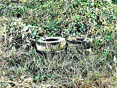 Old Abandoned Tyres