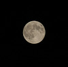 la super lune/ the big moon
