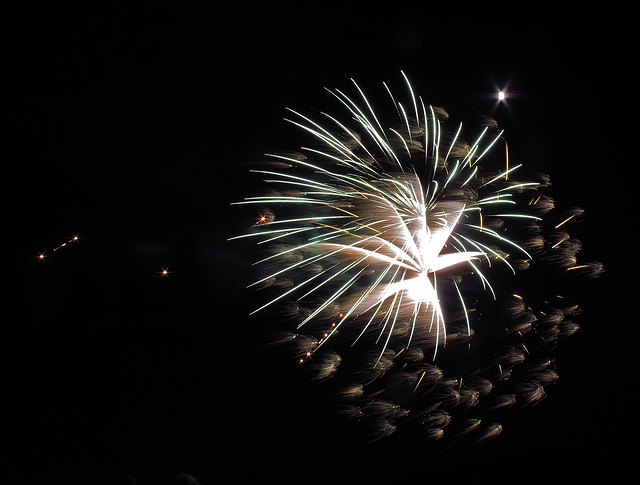 DHS Fireworks July 5 (0083)