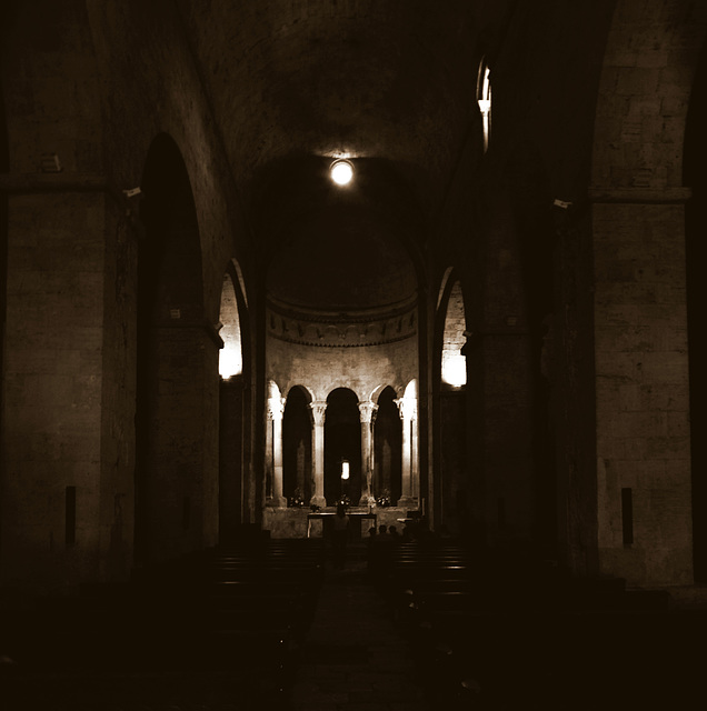 Monestir de Sant Pere de Besalú