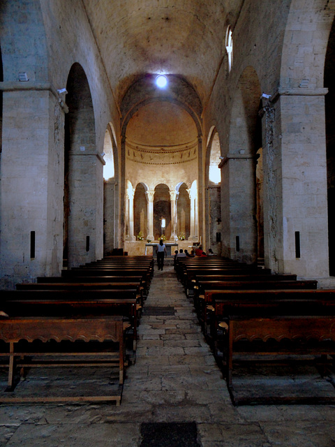 Monestir de Sant Pere de Besalú