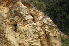 Cliffs From Covehurst