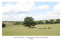 KESR - a view from the train - 7.8.2014