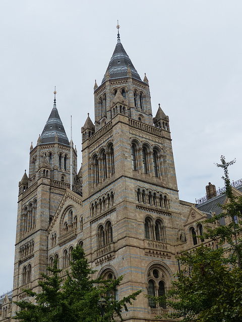 Natural History Museum (1) - 2 August 2014