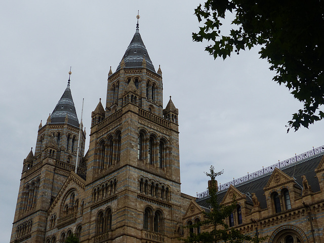 Natural History Museum (2) - 2 August 2014