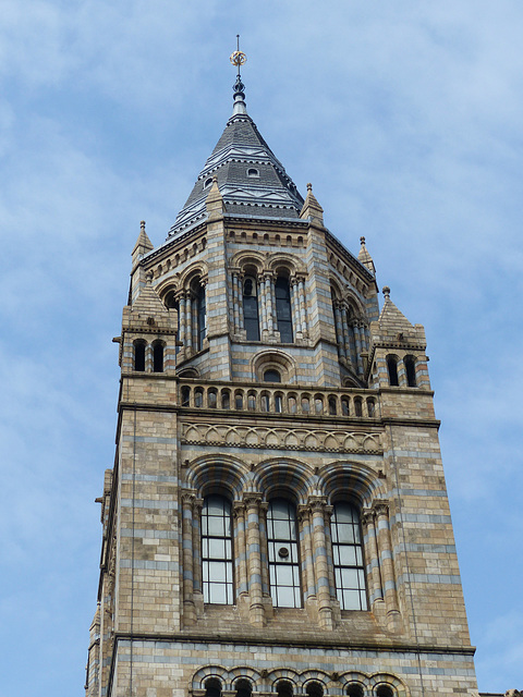 Natural History Museum (5) - 2 August 2014