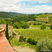 Greve in Chianti Tuscany Savignola Paolina Winery- 052814-008