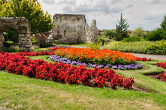 Gardens and remains of castle walls in