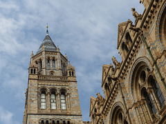 Natural History Museum (6) - 2 August 2014