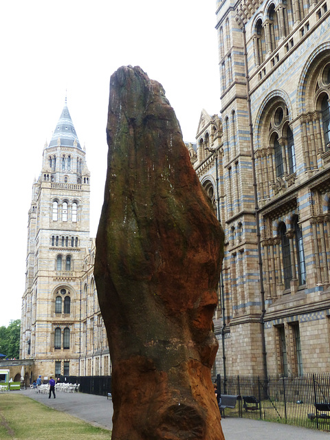 Natural History Museum (7) - 2 August 2014
