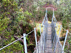 Over the Mangaorua Stream.
