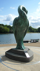 Hyde Park Swan