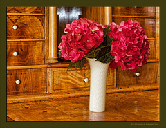 Rote Hortensien in Wellenspiel-Vase