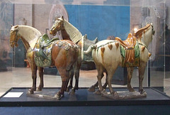 Tang Horses in the University of Pennsylvania Museum, November 2009