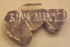 Painted Wall Plaster with a Vergilian Reference in the British Museum, May 2014