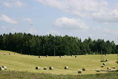 Maastik / Landscape