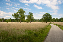 Parc national Hoge Veluwe