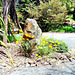 Rock and Californian Poppies.