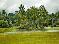 Haena Lagoon and Coconut Grove