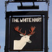 The White Hart pub sign