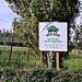Hop Garden - Revival of hop bines by Hog's Back Brewery- Tongham village
