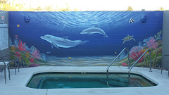Dog Spa ocean mural