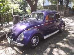 VW zapatiste /  Shady Volkswagon beetle.
