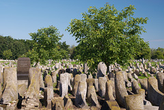 Der alte judische Friedhof in Berdytschiw