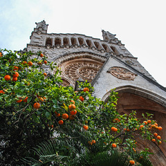 Soller: Iglesia San Bartomeu