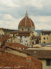 Firenze - roof top view - 052914-0010