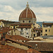 Firenze - roof top view - 052914-0010