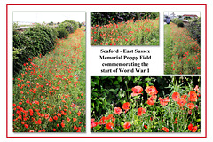Seaford's poppy field commemorating the start of World War 1