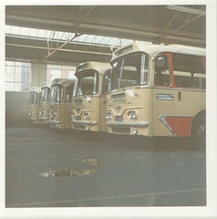 Yelloway Harrington Cavalier line up Aug 1973