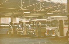 Yelloway line up of holiday expresses - August 1972
