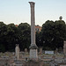 The Column of Phocas in the Roman Forum,  June 2013