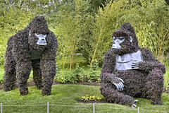 Threatened Giants – Mosaïcultures Internationales de Montréal, Botanical Garden, Montréal, Québec