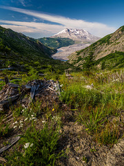 Norway Pass, Mt St Helens