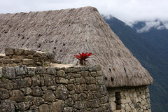 Entering Machu Picchu