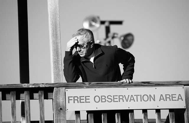Free Observation Area