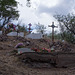 Coronado NF Harshaw cemetery (2208)